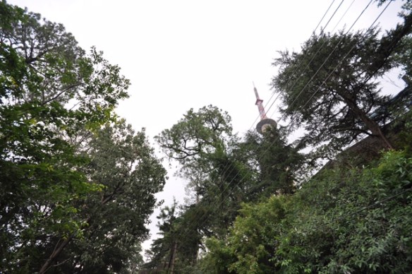 Kasauli 9
