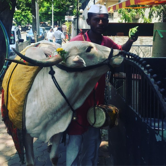 Dadar3
