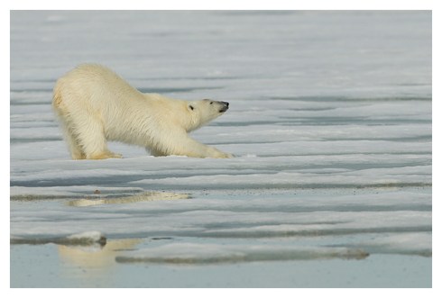 up frm hibernation