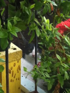 He was watching me