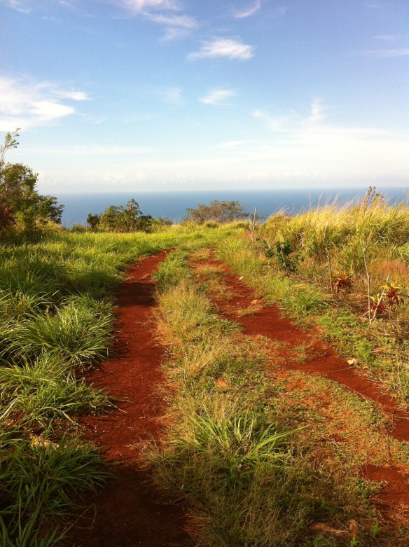1 red dirt road to lookout