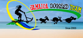 jsdtlogo.jpg