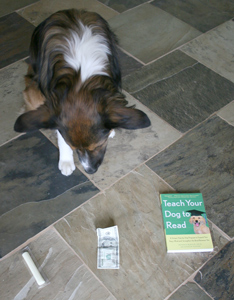 easyascheese Audie considers the options