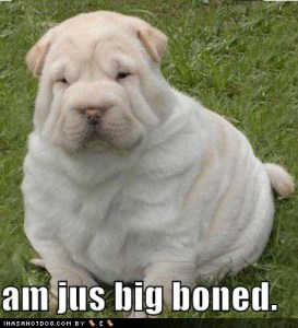 bigboned