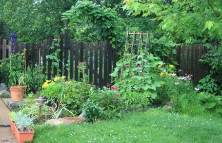 July2010Garden