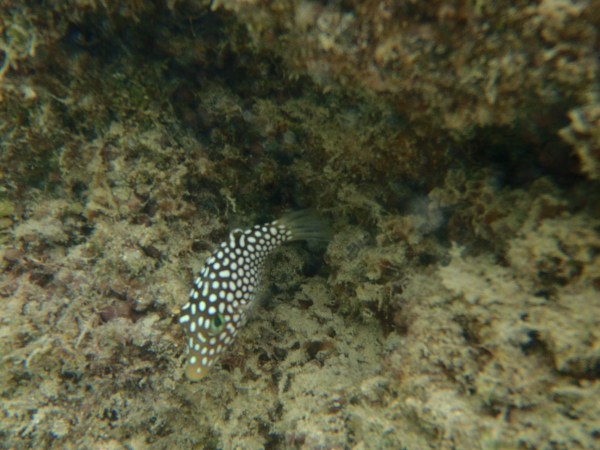 This one is really tiny!