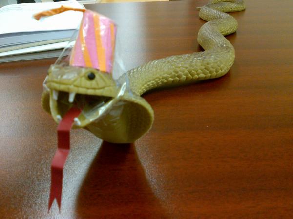 It's a snake in a party fez!