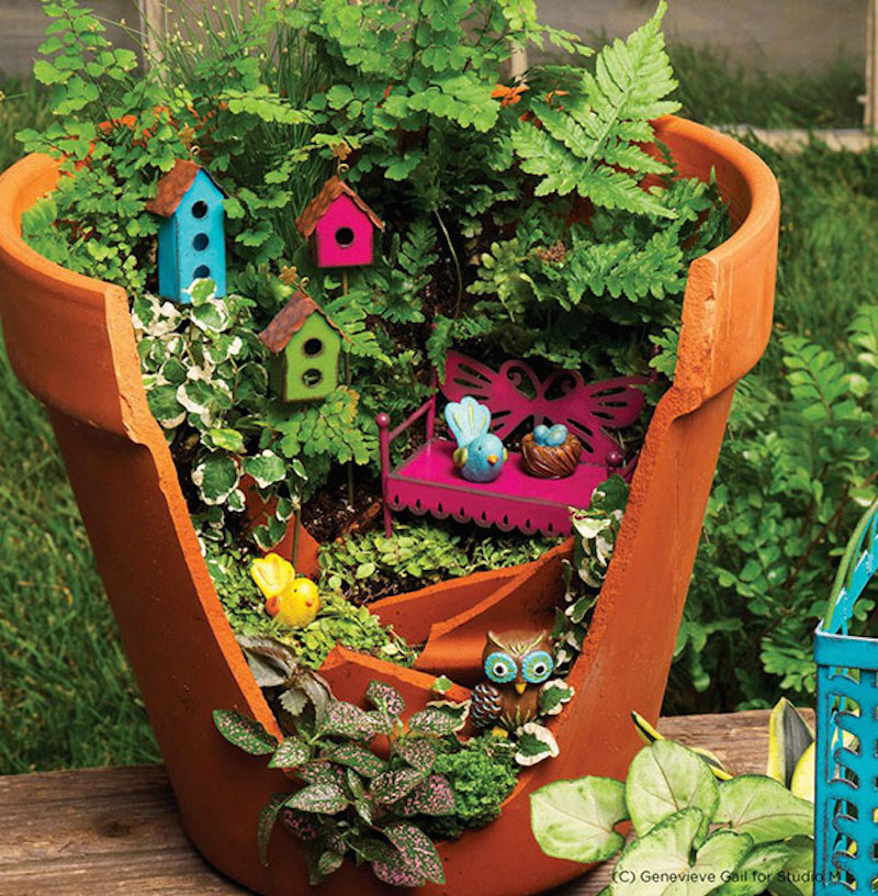 fairy pot