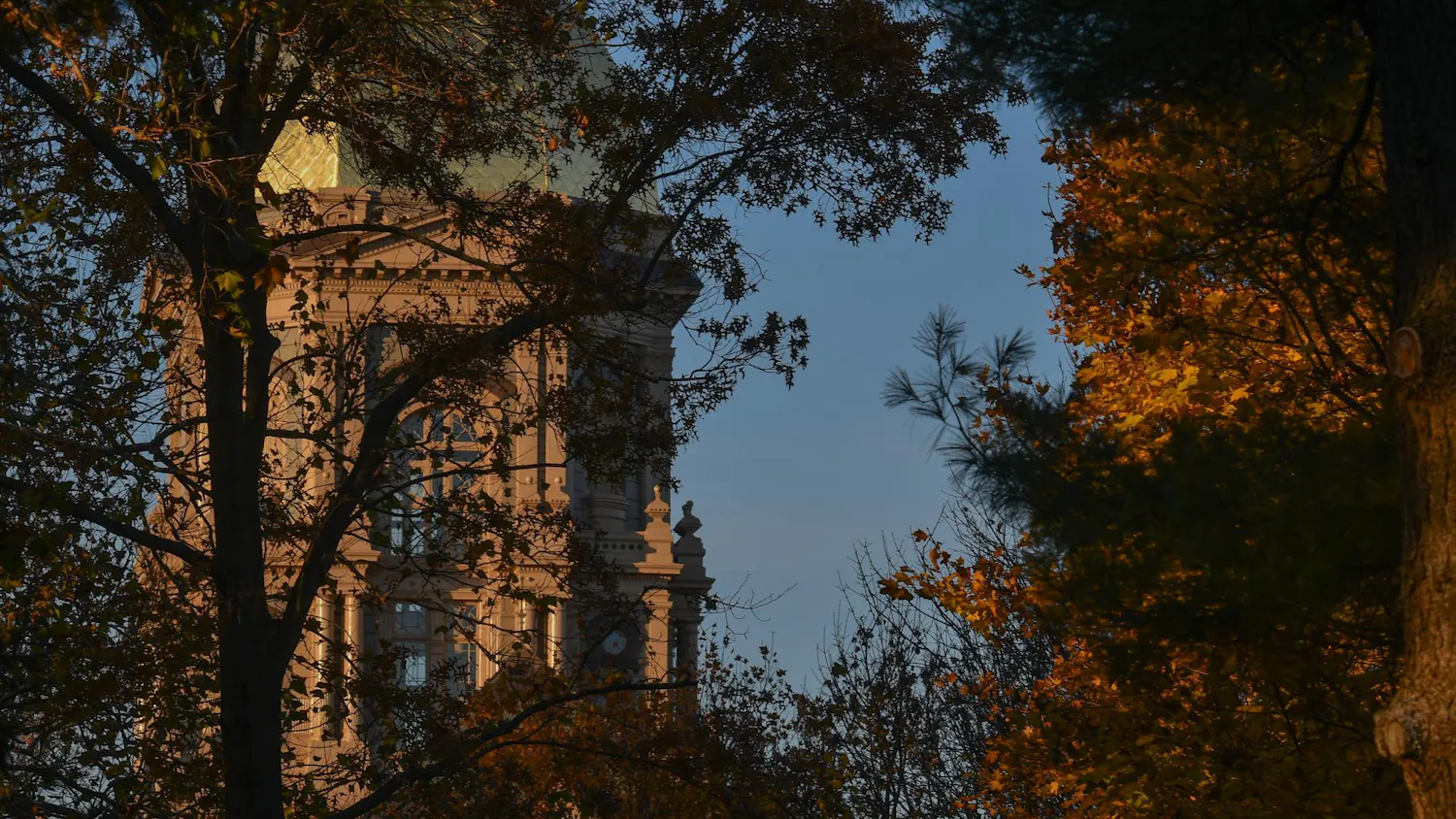 11112023, Dome, Main Building, Sofia CrimiVaroli, Website Photos-3.jpg