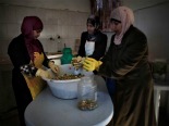 International Year of Cooperatives 