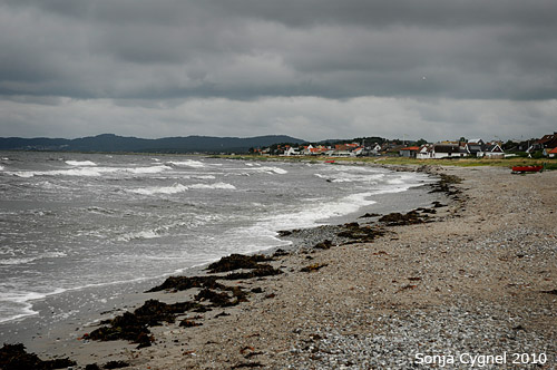 02-stranden-1382