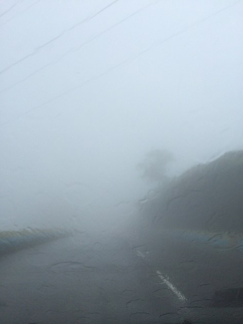 20140721-220158-79318185.jpg