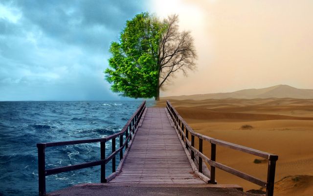 path-of-life-wallpaper-4.jpg image