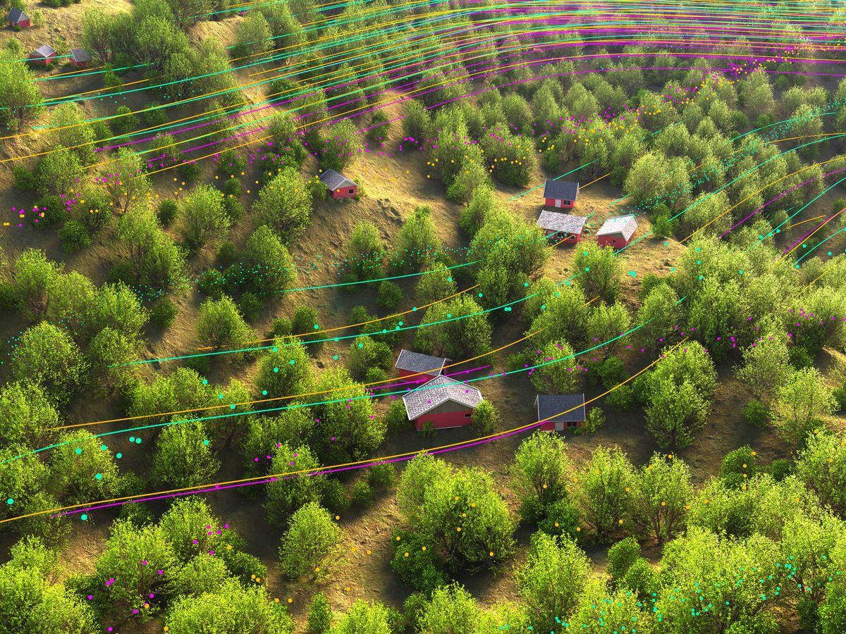 A digital rendering of colorful lines running through an aerial view of trees and sparse houses in a rural community.