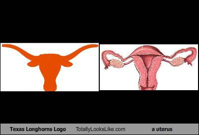 texas-longhorn-tll-uterus1 texas-longhorn-tll-uterus1