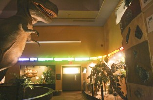 Dinosaur Hall