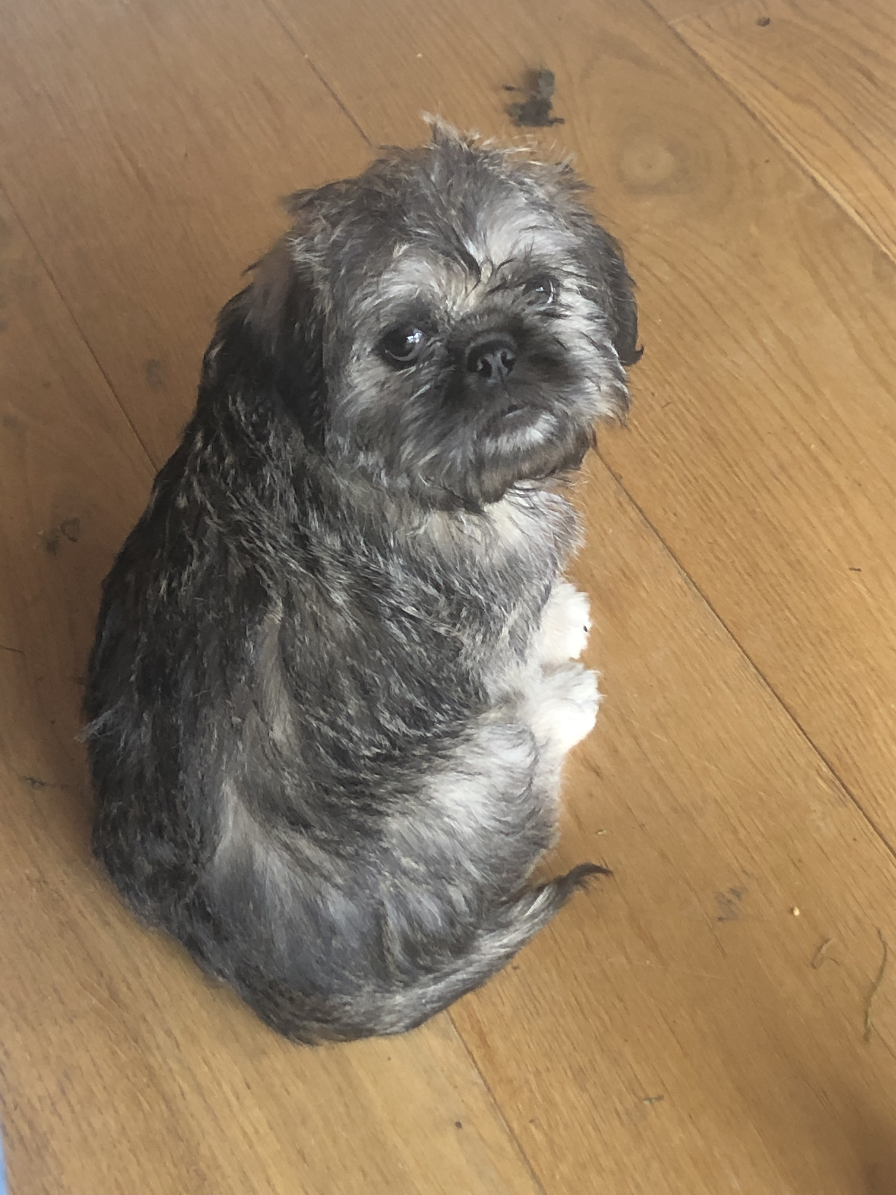 Oscar