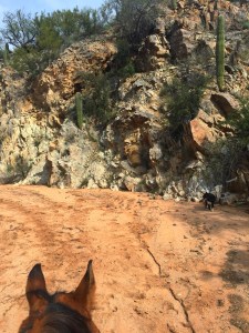ride canyon