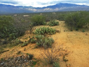 ride trail