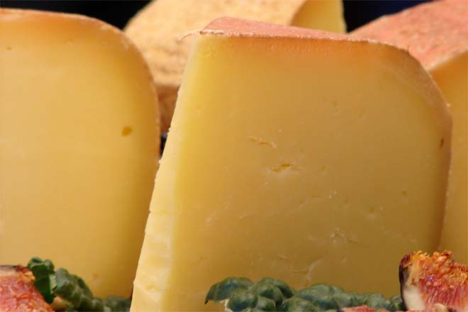 Cheddar Cheese