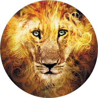 As Crônicas de Nárnia As Crônicas de Nárnia