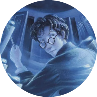 Harry Potter Harry Potter