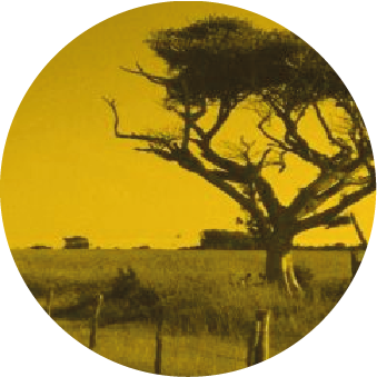 O Tempo e o Vento O Tempo e o Vento