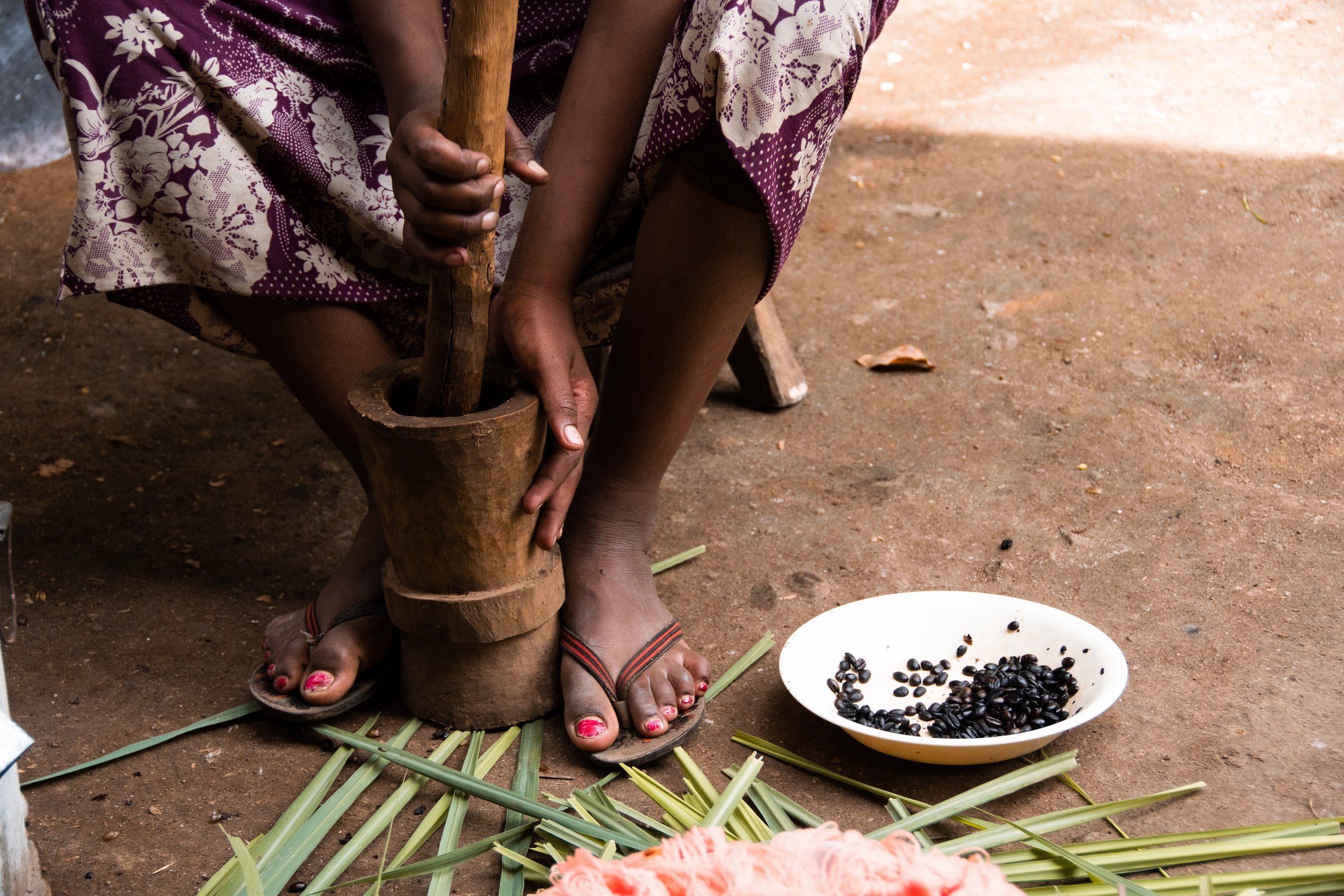 Coffee-producing countries are among those to report the biggest problems meeting the due diligence rules set in the EU's new deforestation law (Photo: Taylor Flowe)