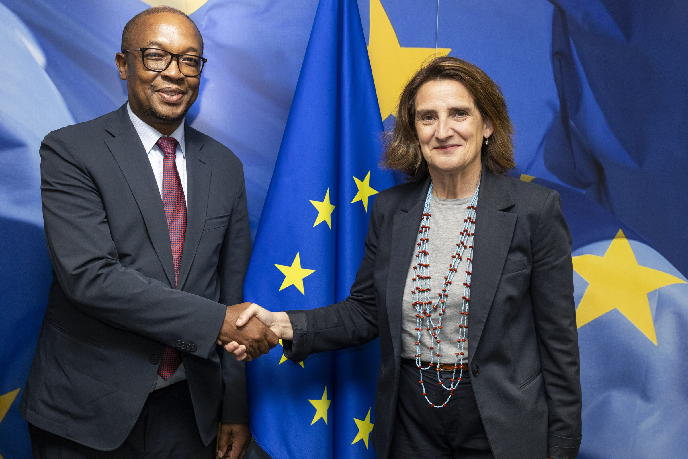 'Our objective is not to export raw minerals. Our objective is beneficiation, processing, and industrial development,” South African trade minister Parks Tau (left) said in Johannesburg.