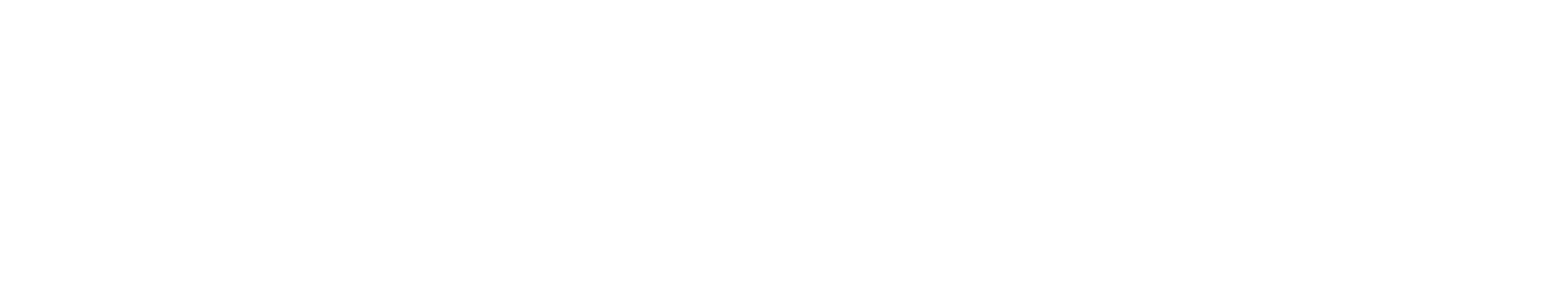BridgeFT