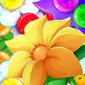 Flower Explosion icon