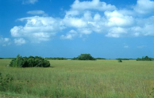 everglades by jorg behmann everglades by jorg behmann