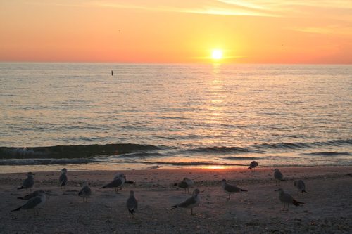 sunset by bill comben