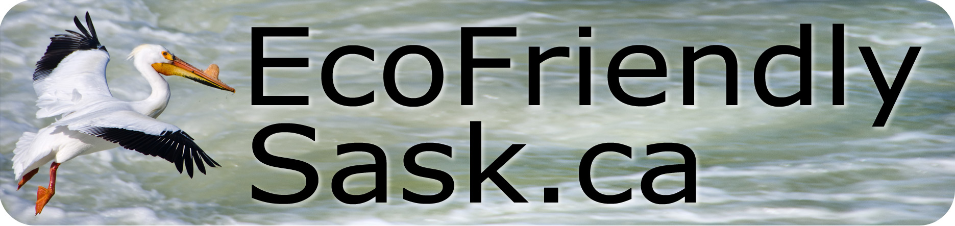 Eco-Friendly Sask. CA Sponsor Richard St. Barbe Baker Afforestation Area. Clean Up 2016 Saskatoon, SK CA