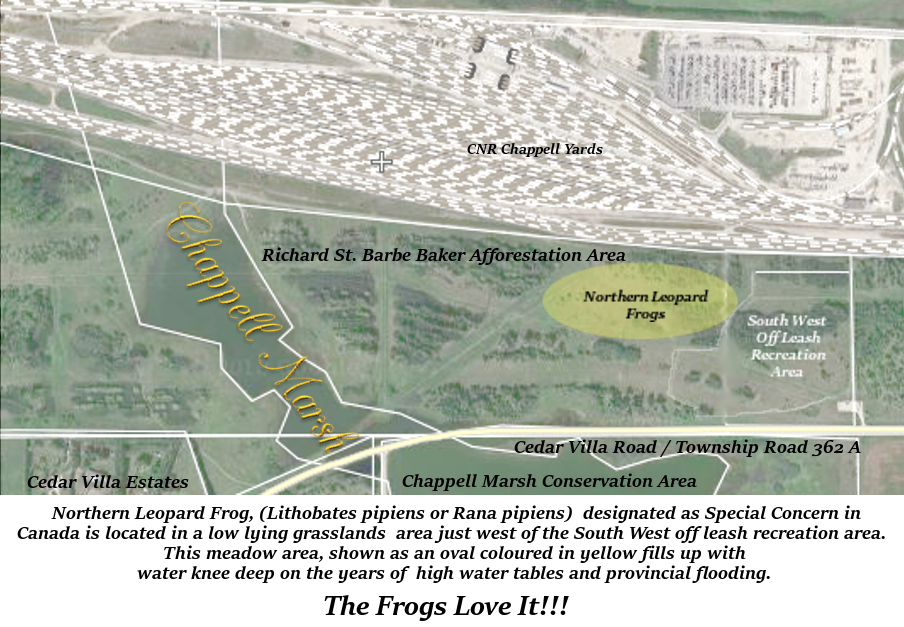 FrogMap