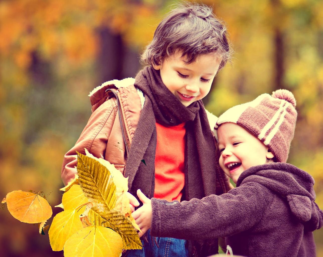 Children enjoying their time collecting leaves in the autumn forest.