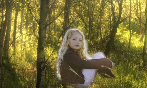 Safety in the Forests