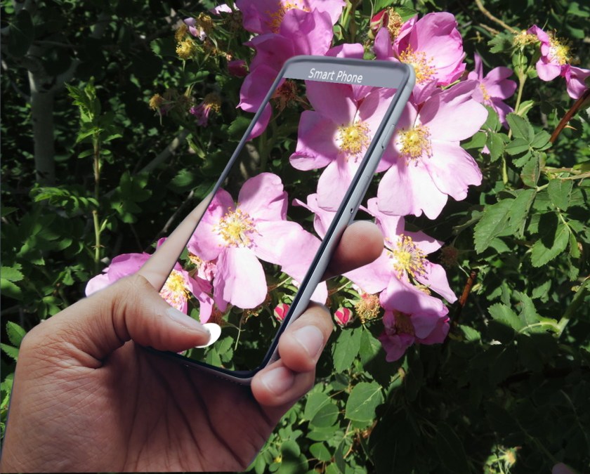 SmartPhone nature Photo using the free iNaturalist app