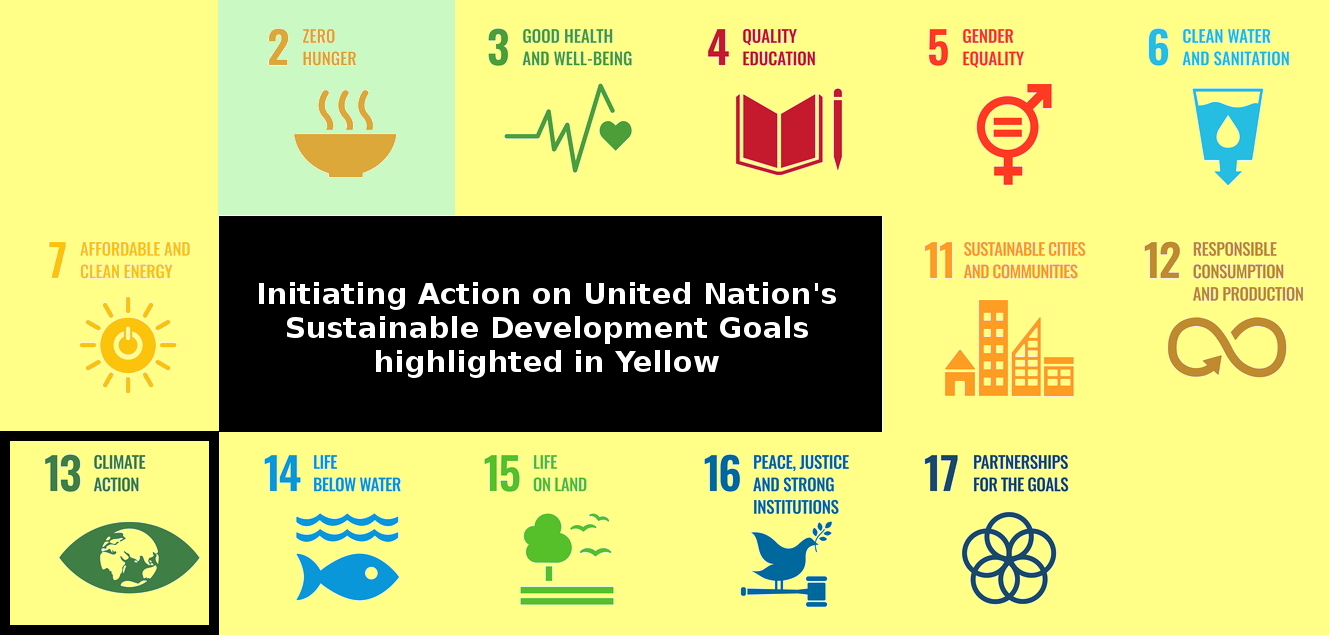 The 17 United Nations Sustainable Development Goals