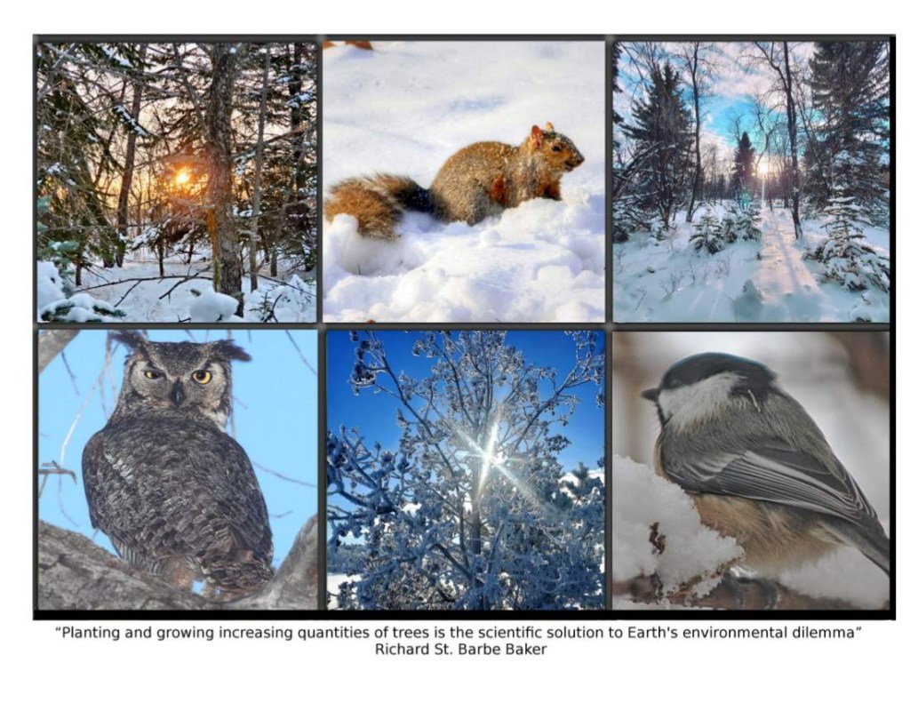 2023 Friends of the Saskatoon Afforestation Areas Inspirational Calendar. Landscapes courtesy Vivian Allan. Sample January Month showing. Support Richard St. Barbe Baker Afforestation Area and George Genereux Urban Regional Park in Saskatoon