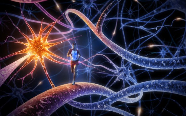 brain-neurons Wired to Connect? brain neurons