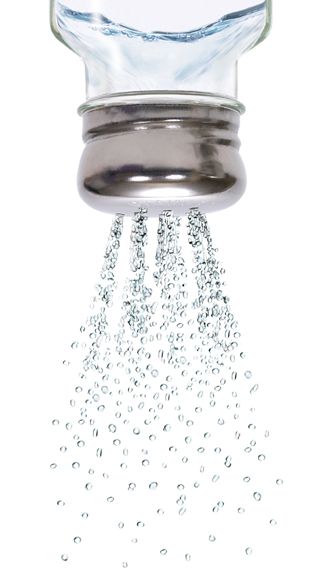 salt_shaker_photo salt shaker