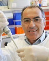 Portrait of Editorial Board member Marco Falasca