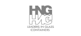 Hindustan National Glass & Industries Limited