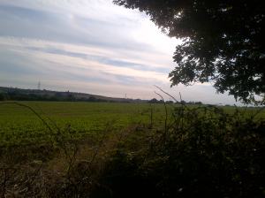 View from the trail