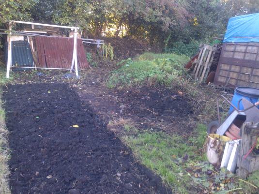At the Back of the shed the old rubbish heap is going to be levelled. This is where we intend to grow our Butternut squash next year. As the allotment next to us just put his squash on old soil and left them.. They were 3 sizes bigger than ours.. So here they will have room to spread out to their hearts content :-)