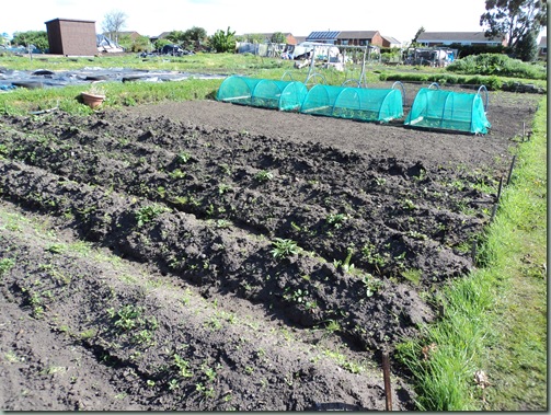 Allotments Allotments