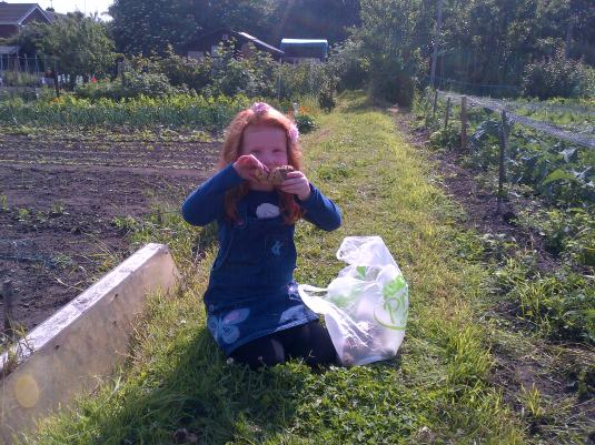 My Granddaughter showing the first lifted New Potatoes