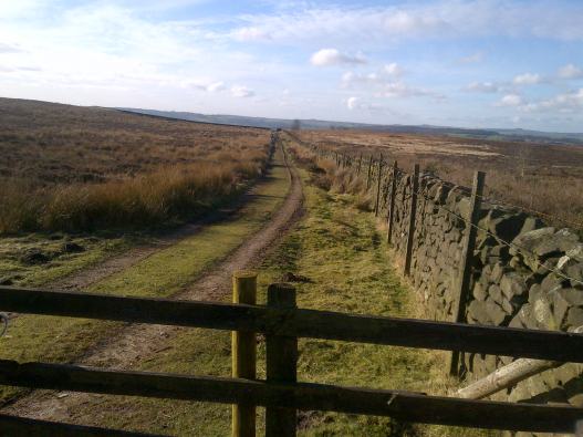 Pathway on Moorland