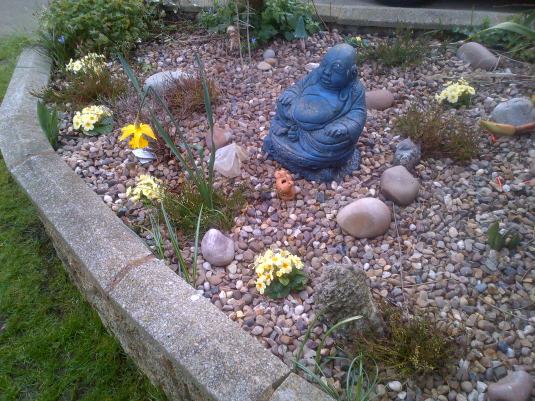 Tranquil Corner of my garden